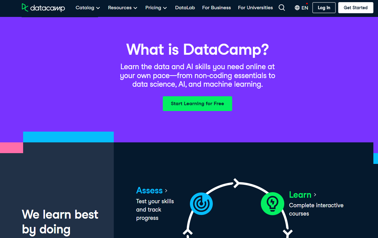 DataCamp website review