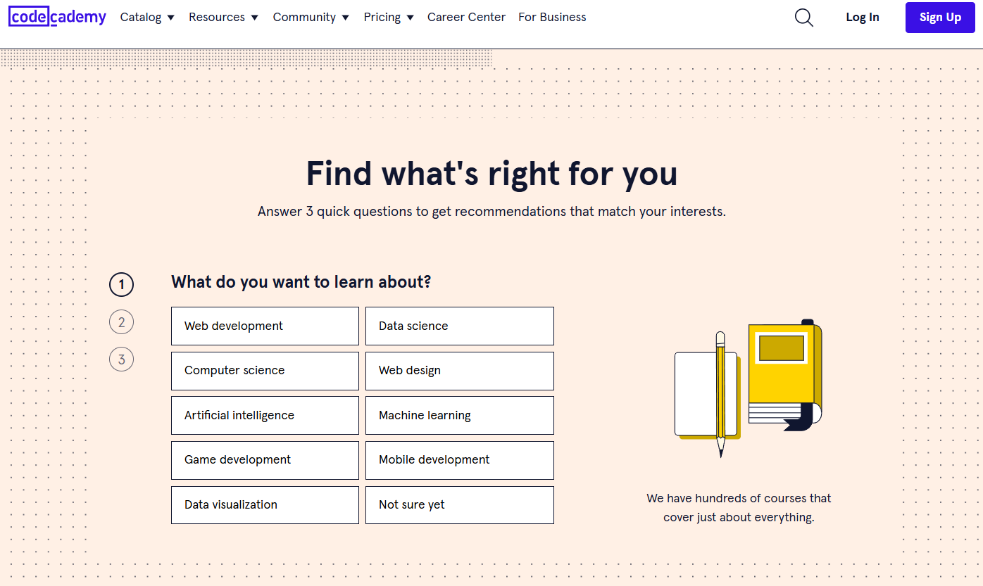 Codecademy Website Review